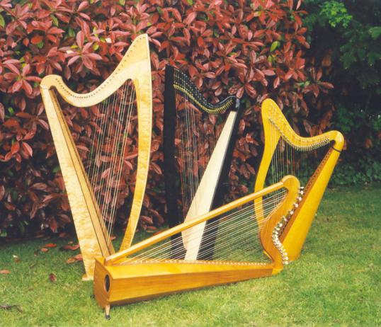 Alison Vardy - Celtic & Paraguayan harps