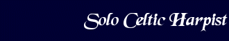 Solo Celtic Harpist