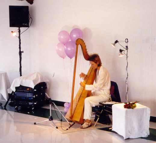 Harping at corporate reception